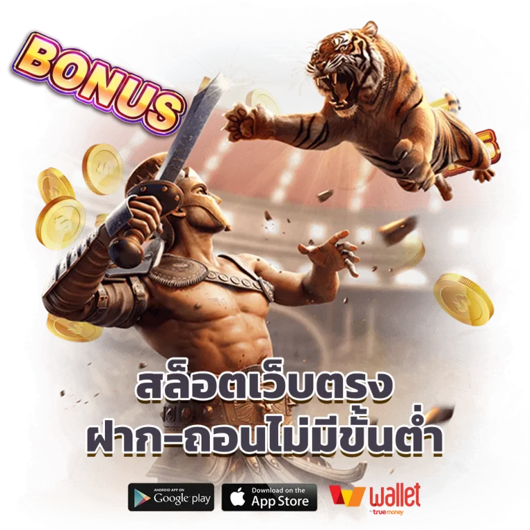 เช็กชี่บาคาร่า66